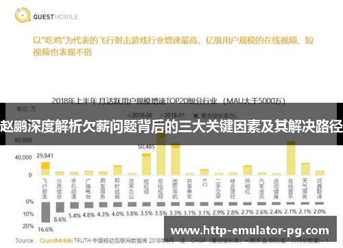 赵鹏深度解析欠薪问题背后的三大关键因素及其解决路径